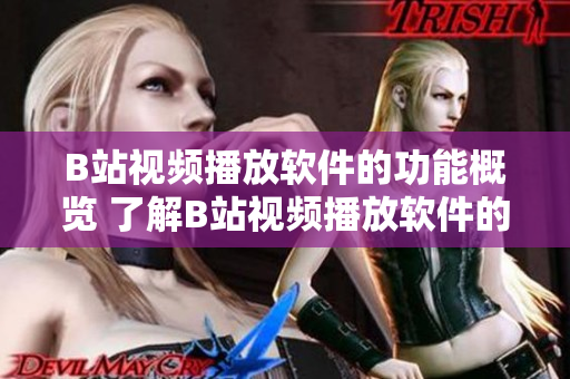 B站视频播放软件的功能概览 了解B站视频播放软件的主要特性