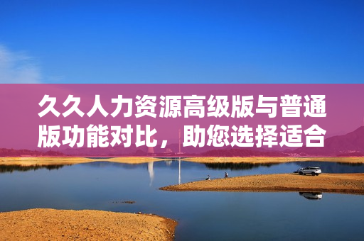 久久人力资源高级版与普通版功能对比，助您选择适合的人力资源管理软件