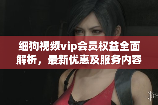细狗视频vip会员权益全面解析，最新优惠及服务内容详细介绍