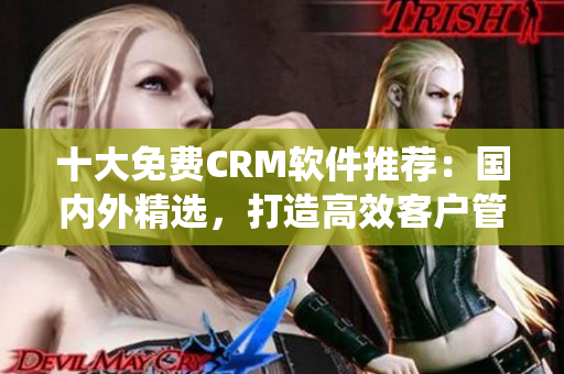 十大免费CRM软件推荐：国内外精选，打造高效客户管理系统
