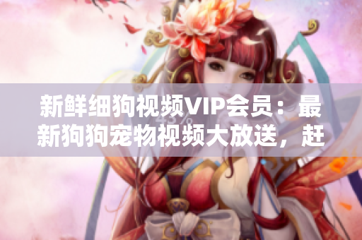 新鲜细狗视频VIP会员：最新狗狗宠物视频大放送，赶紧加入享受精彩盛宴！
