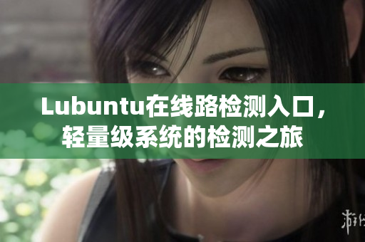 Lubuntu在线路检测入口，轻量级系统的检测之旅