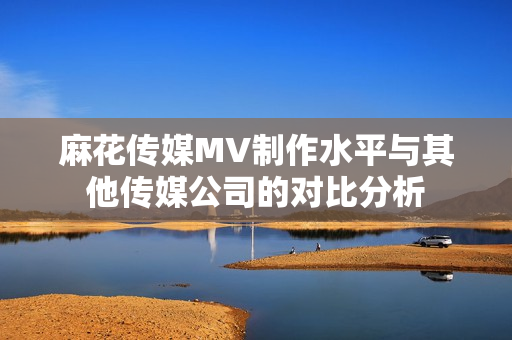 麻花传媒MV制作水平与其他传媒公司的对比分析