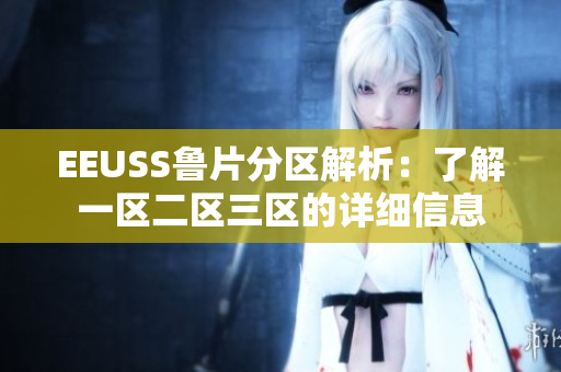 EEUSS鲁片分区解析：了解一区二区三区的详细信息