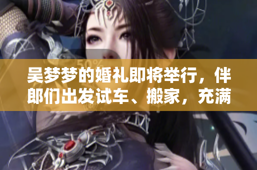 吴梦梦的婚礼即将举行，伴郎们出发试车、搬家，充满期待与忙碌