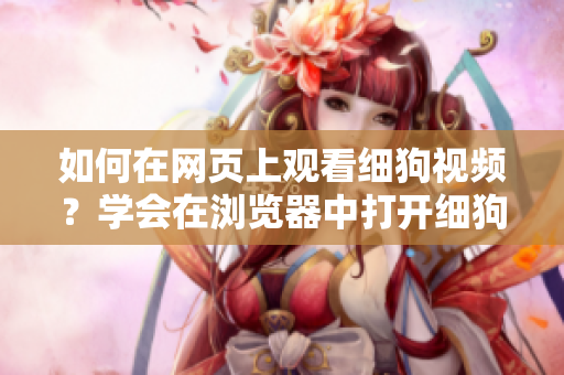 如何在网页上观看细狗视频？学会在浏览器中打开细狗视频网页版