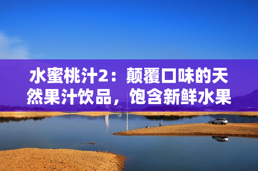 水蜜桃汁2：颠覆口味的天然果汁饮品，饱含新鲜水果的甜蜜滋味