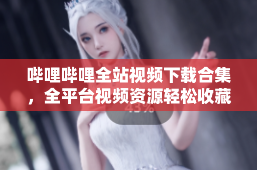哔哩哔哩全站视频下载合集，全平台视频资源轻松收藏