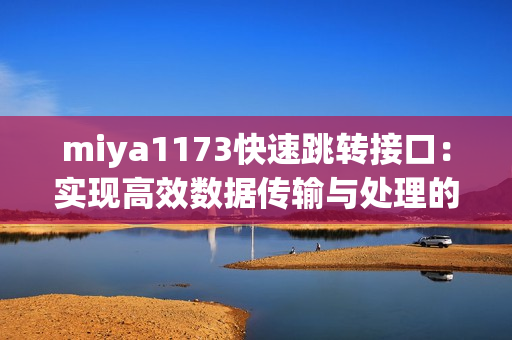 miya1173快速跳转接口：实现高效数据传输与处理的利器