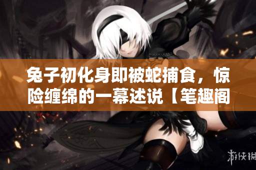 兔子初化身即被蛇捕食，惊险缠绵的一幕述说【笔趣阁】