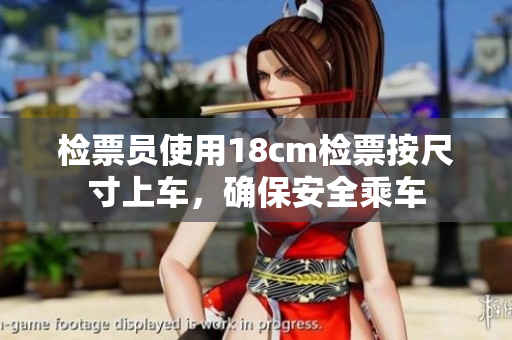 检票员使用18cm检票按尺寸上车，确保安全乘车