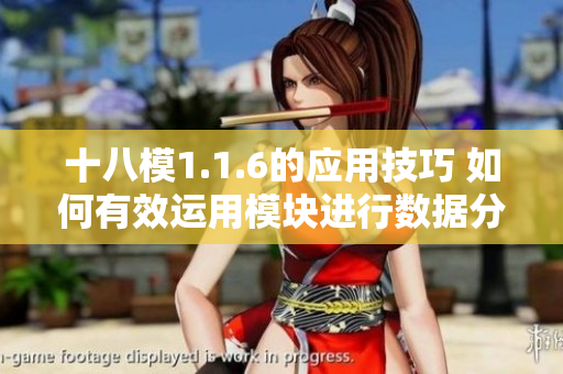 十八模1.1.6的应用技巧 如何有效运用模块进行数据分析