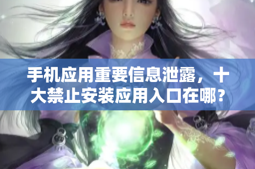 手机应用重要信息泄露，十大禁止安装应用入口在哪？