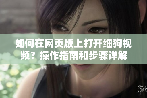 如何在网页版上打开细狗视频？操作指南和步骤详解