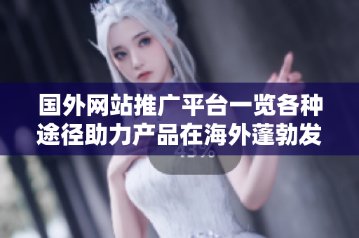 国外网站推广平台一览各种途径助力产品在海外蓬勃发展