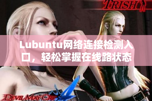 Lubuntu网络连接检测入口，轻松掌握在线路状态