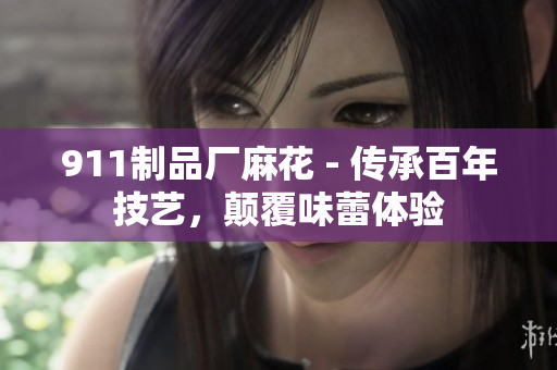 911制品厂麻花 - 传承百年技艺，颠覆味蕾体验