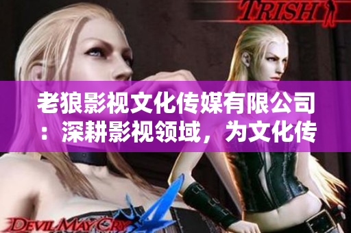 老狼影视文化传媒有限公司：深耕影视领域，为文化传媒注入新活力