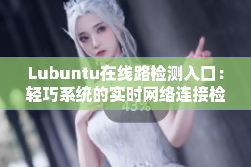 Lubuntu在线路检测入口：轻巧系统的实时网络连接检测