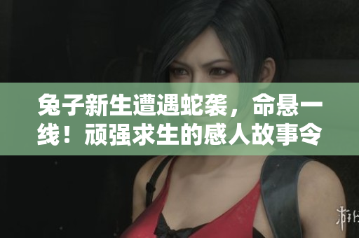 兔子新生遭遇蛇袭，命悬一线！顽强求生的感人故事令人动容