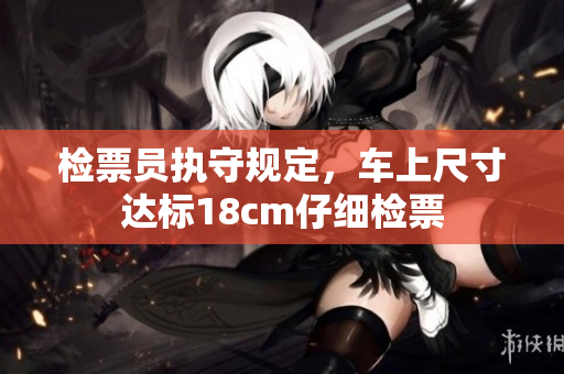 检票员执守规定，车上尺寸达标18cm仔细检票