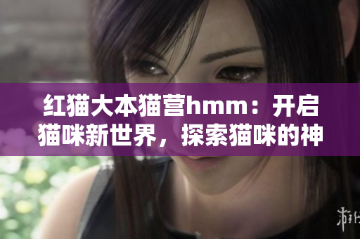红猫大本猫营hmm：开启猫咪新世界，探索猫咪的神秘魅力