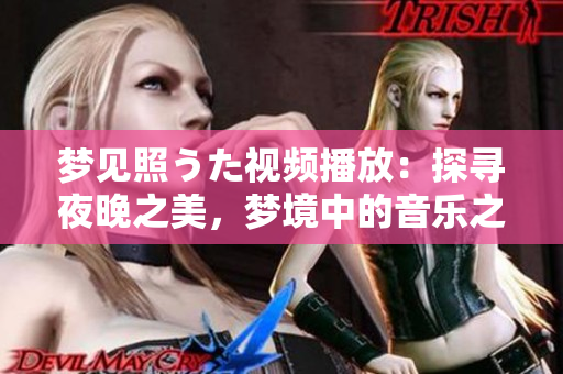 梦见照うた视频播放：探寻夜晚之美，梦境中的音乐之旅