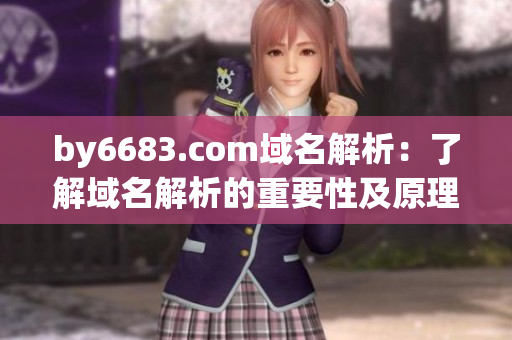 by6683.com域名解析：了解域名解析的重要性及原理
