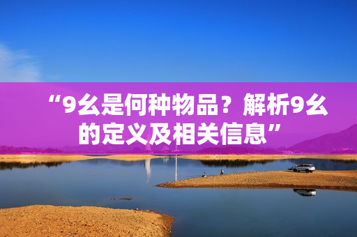 “9幺是何种物品？解析9幺的定义及相关信息”