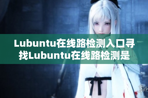 Lubuntu在线路检测入口寻找Lubuntu在线路检测是否可行