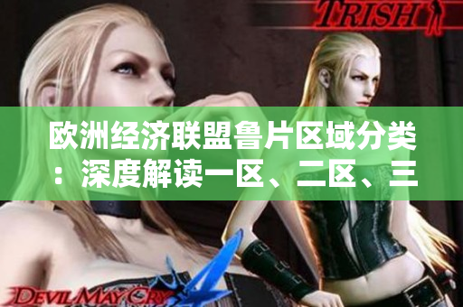 欧洲经济联盟鲁片区域分类：深度解读一区、二区、三区