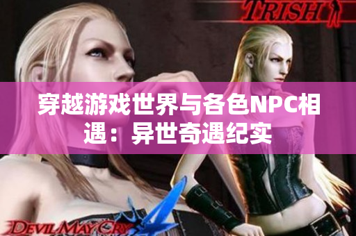 穿越游戏世界与各色NPC相遇：异世奇遇纪实