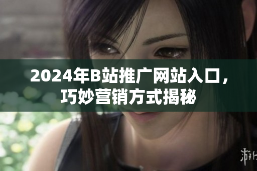 2024年B站推广网站入口，巧妙营销方式揭秘
