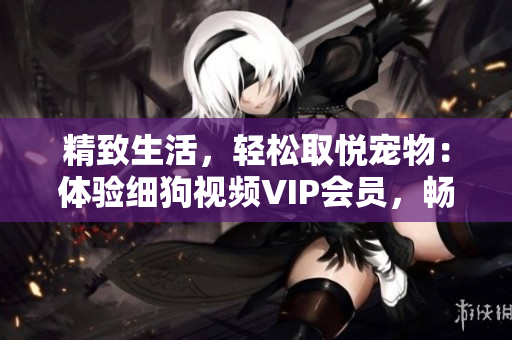 精致生活，轻松取悦宠物：体验细狗视频VIP会员，畅享专属私人定制服务