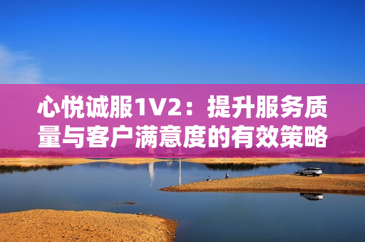 心悦诚服1V2：提升服务质量与客户满意度的有效策略