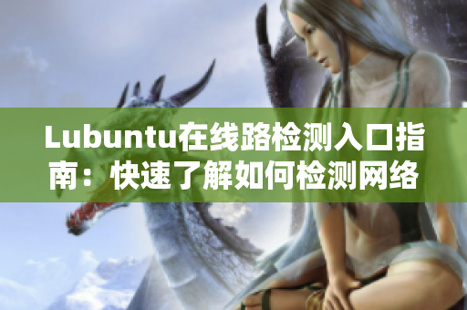 Lubuntu在线路检测入口指南：快速了解如何检测网络连接