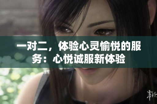 一对二，体验心灵愉悦的服务：心悦诚服新体验