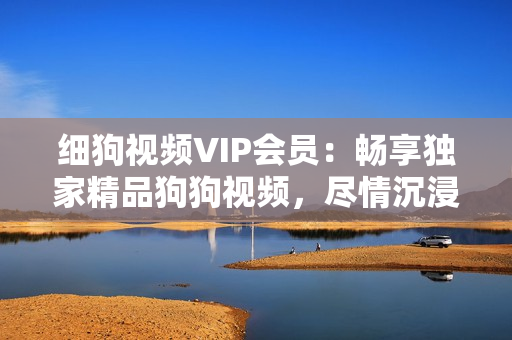 细狗视频VIP会员：畅享独家精品狗狗视频，尽情沉浸在可爱与欢乐中