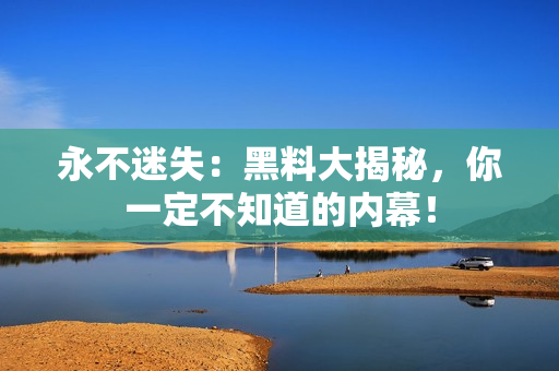永不迷失：黑料大揭秘，你一定不知道的内幕！