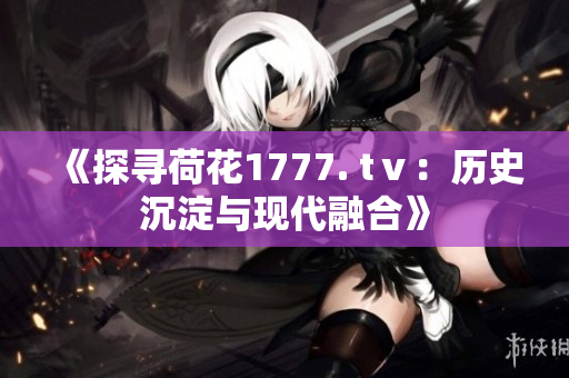 《探寻荷花1777. tⅴ：历史沉淀与现代融合》