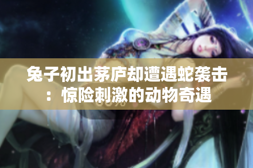 兔子初出茅庐却遭遇蛇袭击：惊险刺激的动物奇遇