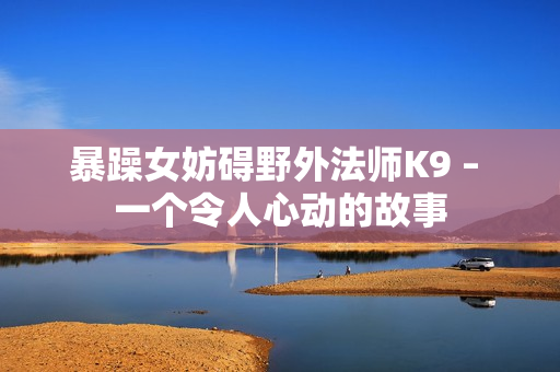 暴躁女妨碍野外法师K9 – 一个令人心动的故事