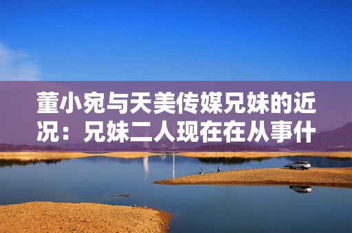 董小宛与天美传媒兄妹的近况：兄妹二人现在在从事什么工作？
