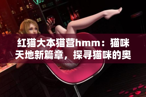 红猫大本猫营hmm：猫咪天地新篇章，探寻猫咪的奥秘与乐趣