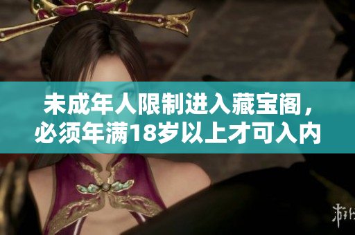 未成年人限制进入藏宝阁，必须年满18岁以上才可入内