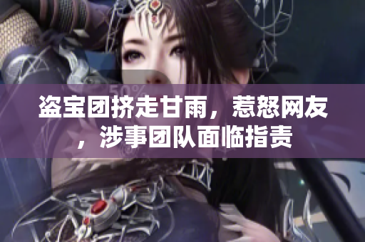 盗宝团挤走甘雨，惹怒网友，涉事团队面临指责