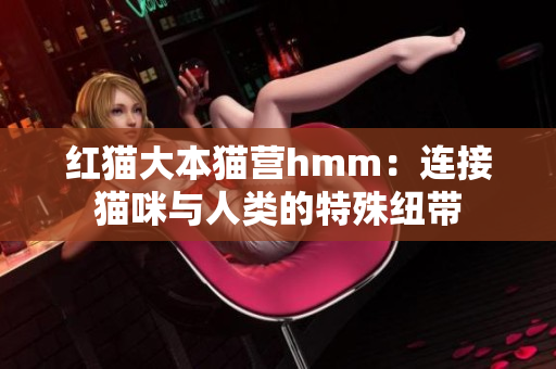 红猫大本猫营hmm：连接猫咪与人类的特殊纽带