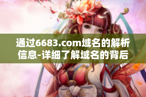 通过6683.com域名的解析信息-详细了解域名的背后故事