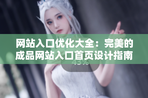 网站入口优化大全：完美的成品网站入口首页设计指南