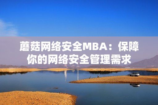 蘑菇网络安全MBA：保障你的网络安全管理需求